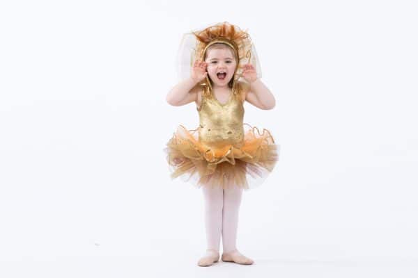 Dance Classes for Walking to 2.5 Years Old North Haven